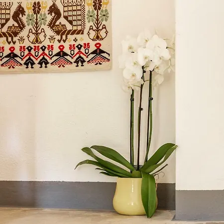 Domu Ala - Bynos Homes Baunei