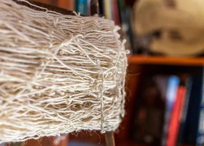 Domu Ala - Bynos Homes Дом отдыха