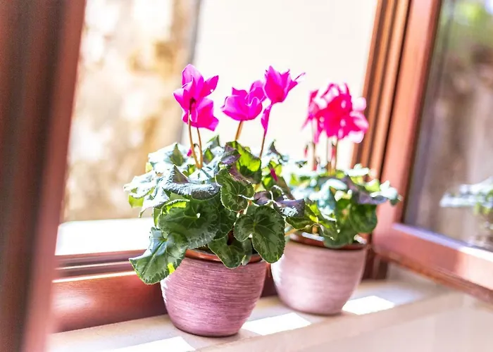 Domu Ala - Bynos Homes Бауней